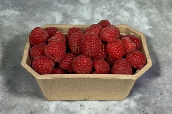 Ekologiczne pojemniki do owoców i warzyw z pulpy papierowej 250 g Harmony