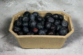 Tacki na maliny, borówki, inne owoce i warzywa 250 g Harmony Delta