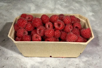 Tacki na maliny, borówki, inne owoce i warzywa 500 g Max Delta