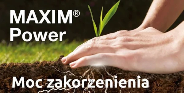 Zbożowa zaprawa nasienna Maxim Power - zalecenia stosowania