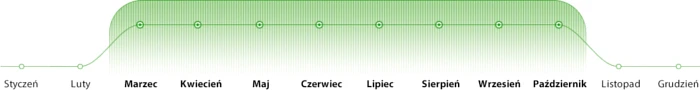 Kiedy stosować Podłoże do Pelargonii Hydro?
