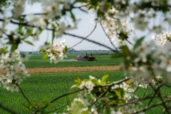 Wpływ temperatury na działanie fungicydów - kiedy przeprowadzić oprysk pola?
