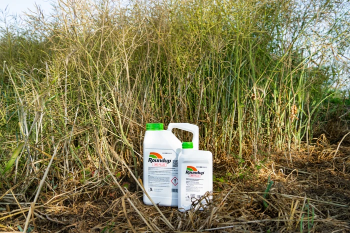 Jak działa glifosat?