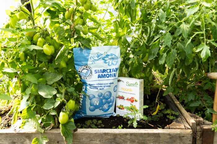 Jak dobrać odpowiedni nawóz azotowy do swojego uprawy?