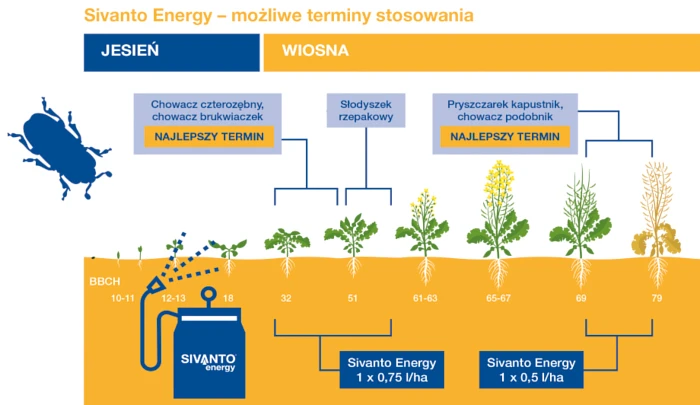Jak stosować Sivanto Energy?