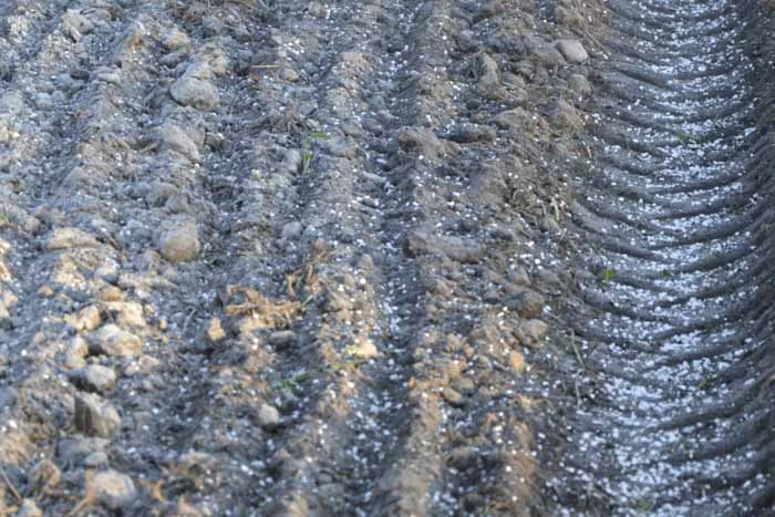  Wapnowanie gleby - kreda granulowana Hortiwap Calfert (nawóz wapniowy)