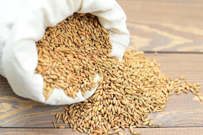 Jaką zaprawę zbożową do nasion wybrać?