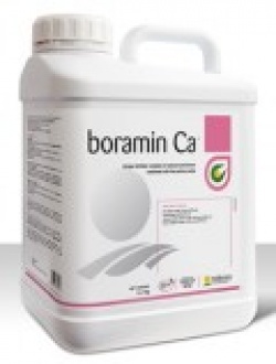 BORAMIN Ca 5L Ca+B+aminokwasy