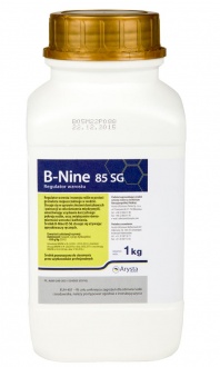 B-NINE 85 SG 1KG