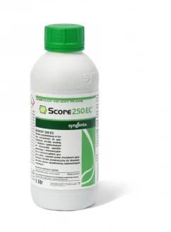 SCORE 250 EC1L