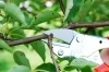 LOWE SEKATOR 5.127 kowadełkowy ergo
