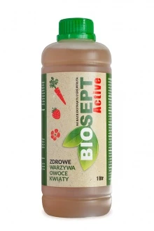 Biosept active 1L