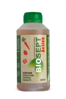Biosept active 500 ml 