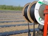 Taśma Politape 12 mil 5l/h 20 cm 1500 m nawadnianie kropelkowe