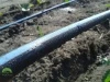 Taśma Politape 10 mil 5l/h 20 cm 2000 m nawadnianie kropelkowe