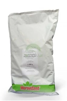 Koper Monarch 500G Moravo