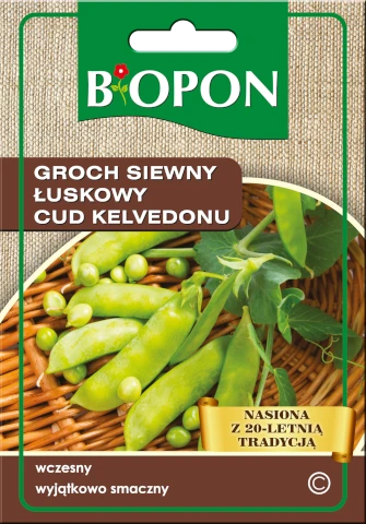 Groch Siewny Łuskowy Cud Kelvedonu Nasiona 40 g Biopon