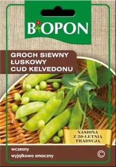 Groch Siewny Łuskowy Cud Kelvedonu Nasiona 40 g Biopon