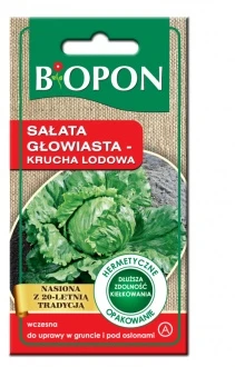 Sałata Głowiasta Krucha Lodowa Nasiona 0,5 g Biopon