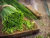 Szczypiorek Nasiona 1 g Biopon
