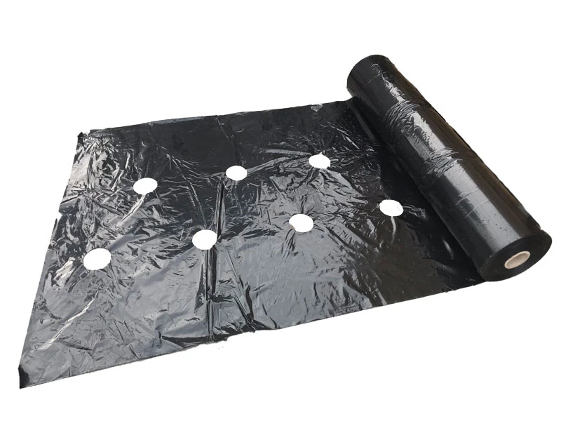 FOLIA NA ZAGONY DO M.IN. TRUSKAWKI I MALINY 1KG - CZARNA 0,05MM, SZER.120CM, OTWORY 35x35CM