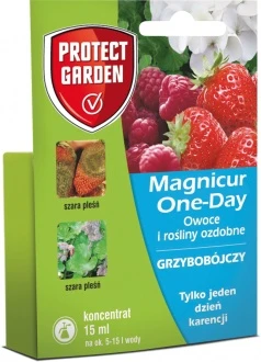 MAGNICUR ONE DAY 15ML (daw. Teldor)