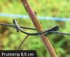 Zapinki Klipsy do owoców FRUITSTRIP 8,5 cm – cena za 18 000 szt./K maliny