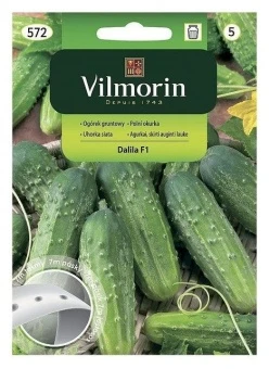 Ogórek Dalila F1 Nasiona Taśma 7 m