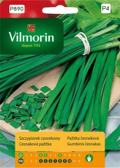 Szczypiorek Czosnkowu Nasiona 1 g