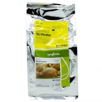 Cebula Żółta Progression Nasiona 250 tys.