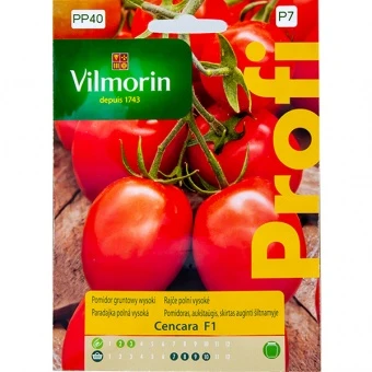 Pomidor Cencara F1 Nasiona 0,2 g
