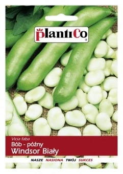 Bób Windsor Biały Nasiona 50 g