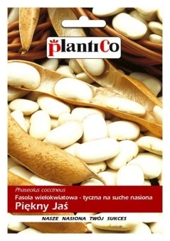 Fasola Wielokwiatowa Piękny Jaś Nasiona 40 g