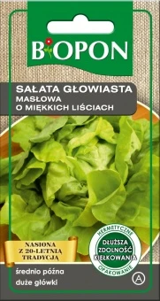 Sałata Głowiasta Masłowa o Miękkich Liściach Nasiona 1 g