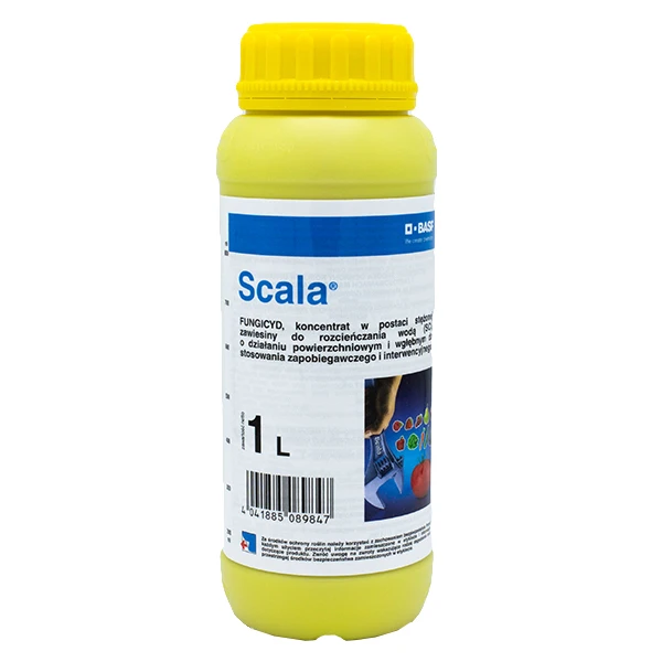 SCALA 1L
