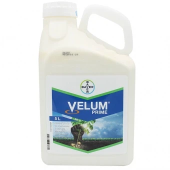 VELUM PRIME 5L