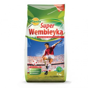 Trawa Sportowa Super Wembleyka 5KG 