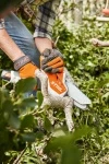 PRZECINARKA STIHL AKU GTA 26 SET + łańcuch zapasowy gratis