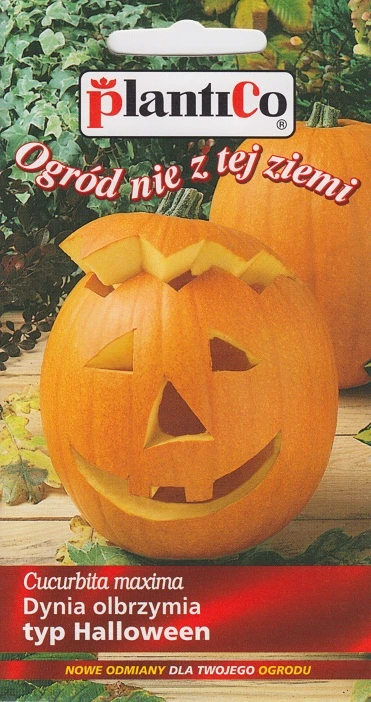 Dynia Olbrzymia Big Max (Typ Halloween) Nasiona 2 g