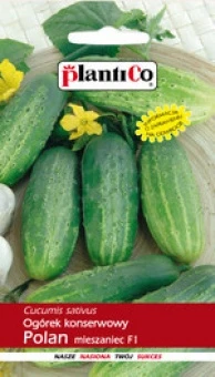 Ogórek Konserwowy Polan Nasiona 5 g