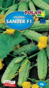Ogórek Gruntowy Sander F1 Nasiona 5 g
