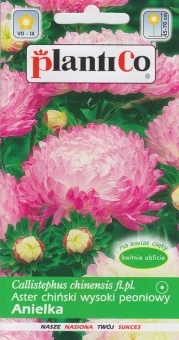 Aster Ch. Peoniowy Biało-Róż. Anielka Nasiona 1 g