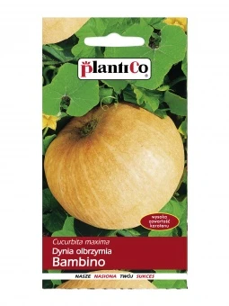 Dynia Olbrzymia Bambino Nasiona 5 g