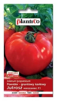 Pomidor Gruntowy Jutrosz Nasiona 0,5 g