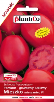 Pomidor Gruntowy Solanum Mieszko 0,5G 