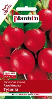 Rzodkiewka Tytania Nasiona 12 g