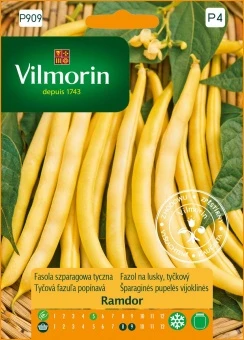 Fasola Szparagowa Żółta Ramdor Nasiona 10 g