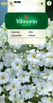 Gipsówka Wytworna Biała Nasiona 5 g