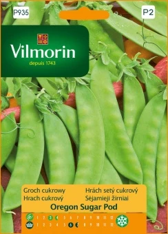 Groch Cukrowy Oregano Sugar Nasiona 40 g Vilmorin