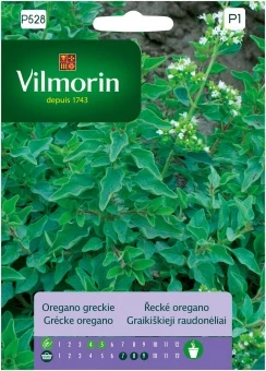 Pomidor Szklarniowy Malinowy Pink King 15 szt. Vilmorin